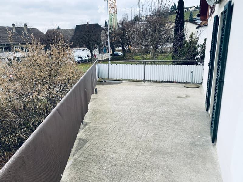Balcony with a privacy screen, metal railing, and concrete floor, overlooking a residential area with trees and parked cars.