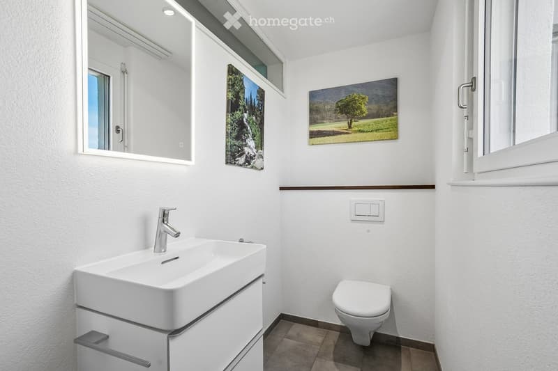 Modern bathroom with white walls, a white sink with a modern faucet, a toilet, a large mirror, and two framed landscape pictures on the wall.