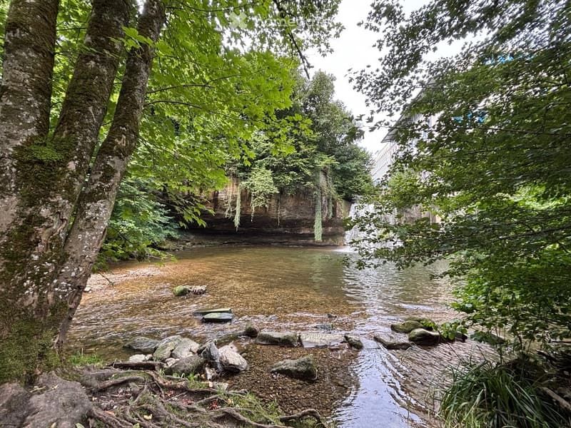 A serene outdoor area featuring a small stream with rocks and trees lining the banks, creating a natural and tranquil setting.