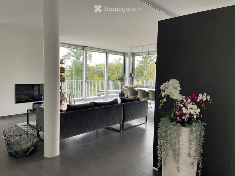 Modern living room with large windows, grey sectional sofa, coffee table, flower vase, TV, and dining area visible through the open space.