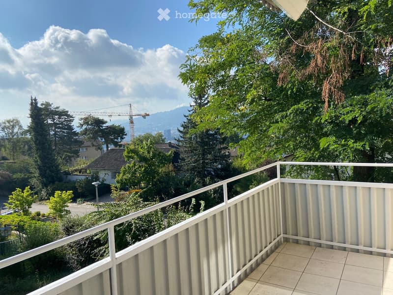 Balcony with white railings, tiled floor, view of trees and a house in the distance