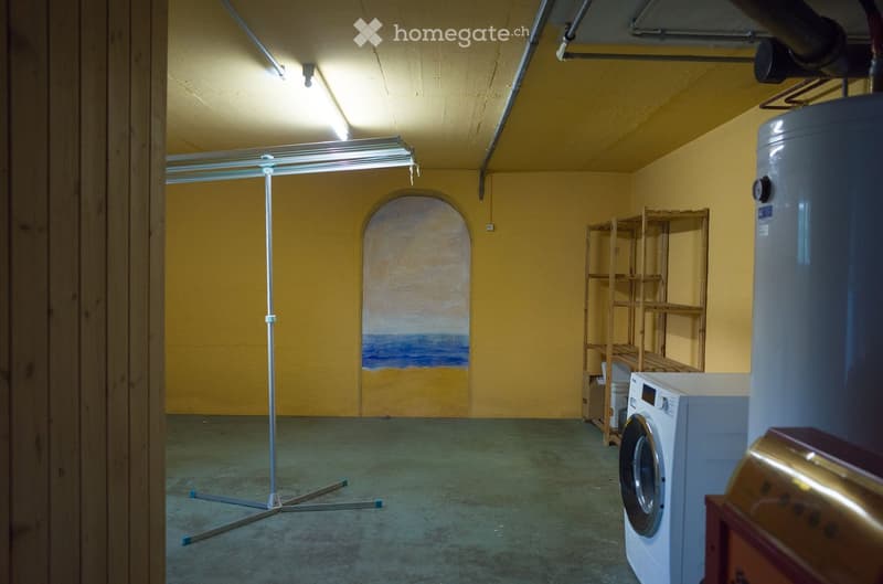 Utility room with washing machine, water heater, shelves, and a painting on the wall.