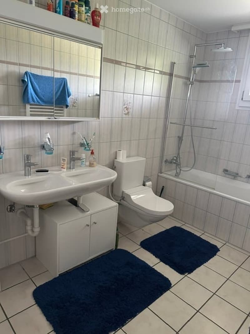 Modern bathroom with a double sink, toilet, bathtub, and shower. Features a large mirror, a small cabinet under the sink, and blue towels on the floor.