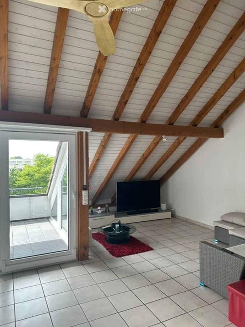 Bright, airy living space with wooden beams and a slanted ceiling. Features a sofa, television, small table, and a red rug. Large sliding glass door opens to a balcony.
