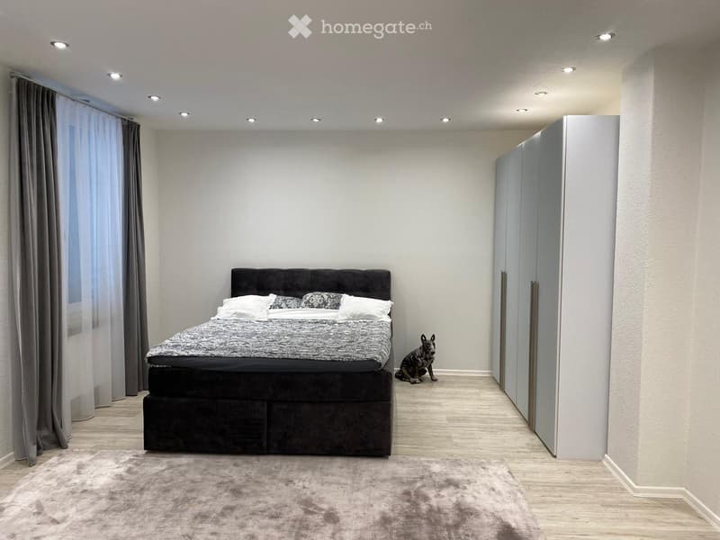 Modern bedroom with a large bed, pillows, a wardrobe, and a small dog sitting on the floor.