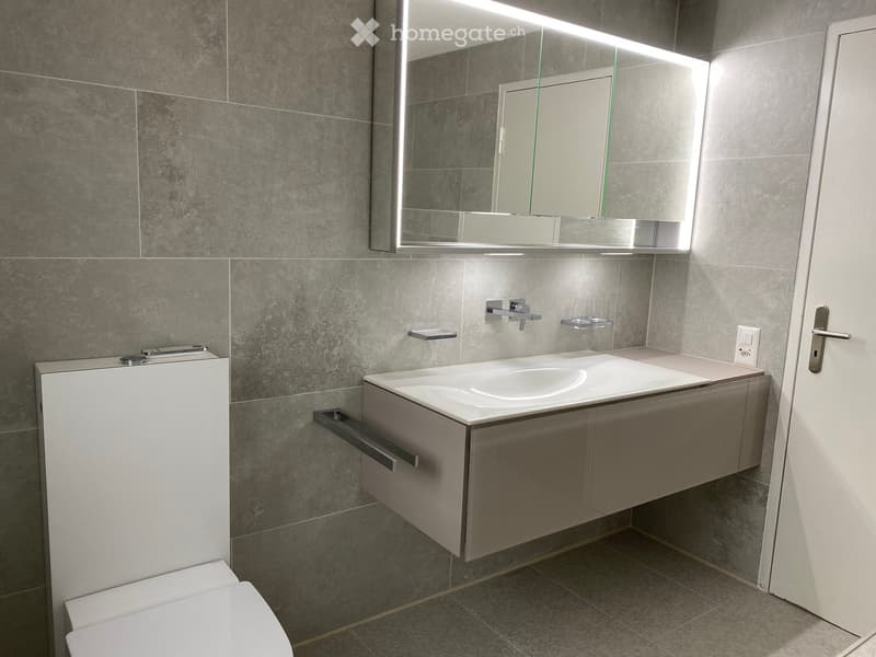 Modern bathroom with grey tiled walls, a white sink with a built-in cabinet, a toilet, and a large mirror with built-in lighting.
