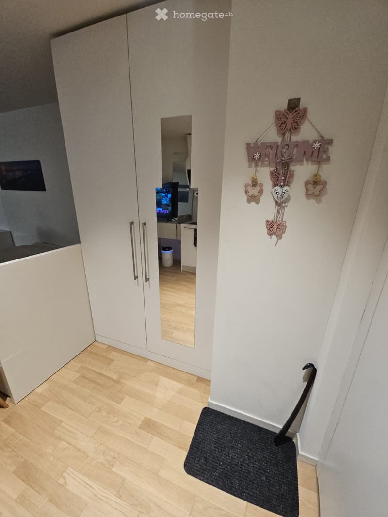 A modern hallway with light wooden flooring, white walls, and a large mirrored wardrobe. A decorative welcome sign with butterfly ornaments hangs on the wall, and a small black doormat is placed near the entrance.