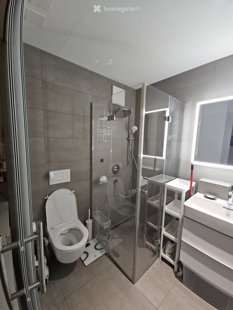 Modern bathroom with a toilet, sink, and glass-enclosed shower. Features a large mirror, towel rack, and a small white shelf.