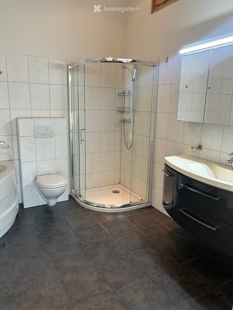 Modern bathroom with dark tiled floor, white tiled walls, a glass-enclosed shower, a toilet, a sink with a mirrored cabinet, and a bathtub.