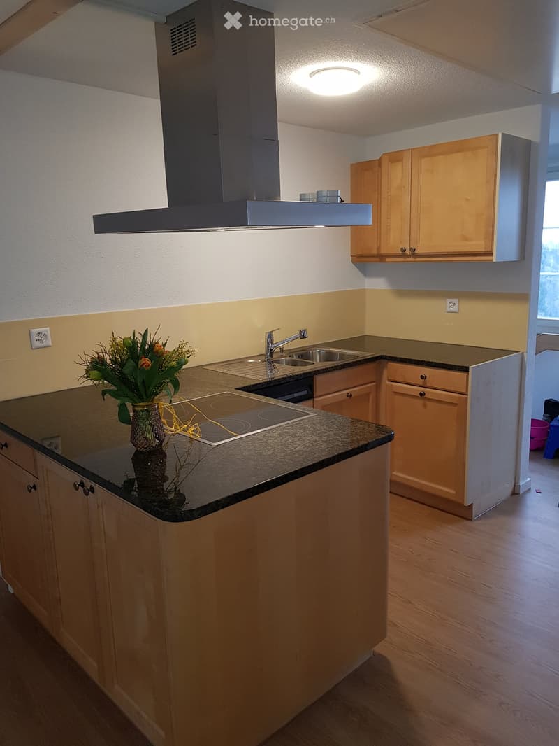Modern kitchen with light wooden cabinets, granite countertop, induction cooktop, sink, and a vase with flowers on the counter.
