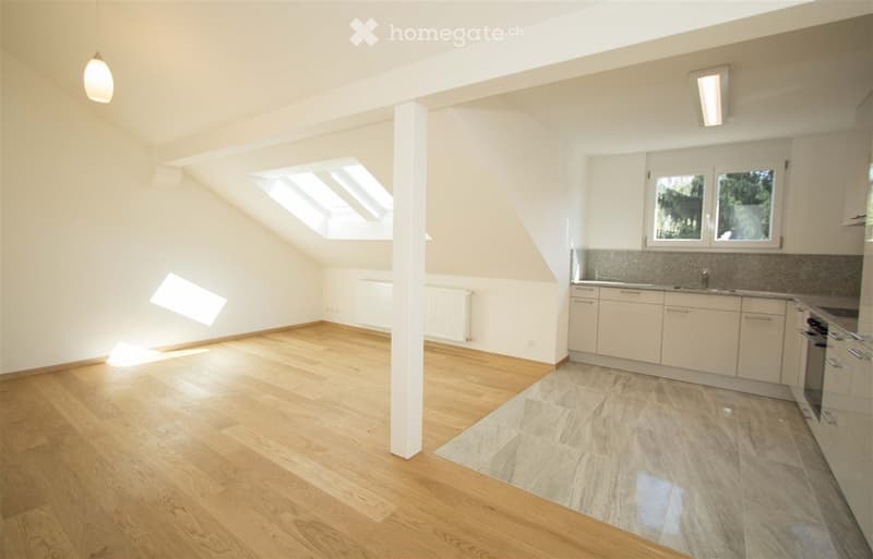 Bright, open attic space with wooden flooring, white walls, and skylights. Kitchen area features white cabinets and stainless steel appliances.