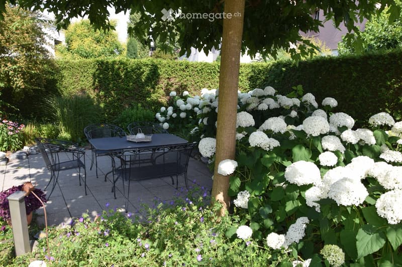 Garden with a patio area featuring a black metal table and chairs, surrounded by lush greenery and blooming white hydrangeas.