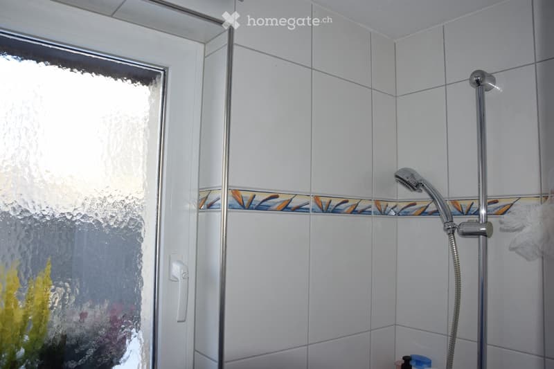 Modern bathroom shower area with white tiled walls, a glass shower enclosure, and a handheld showerhead on a chrome stand.