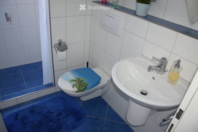 Modern bathroom with white tiles, blue floor tiles, a toilet with a beach-themed seat cover, a white sink with a chrome faucet, and a soap dispenser. A small potted plant sits on the windowsill.