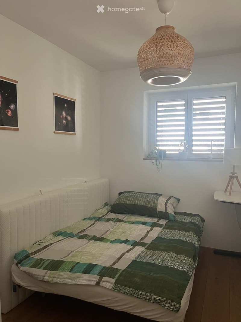 Cozy bedroom with a single bed, green and white patterned bedding, a nightstand with a table lamp, and two framed pictures on the wall. A large window with blinds and a hanging plant is visible.