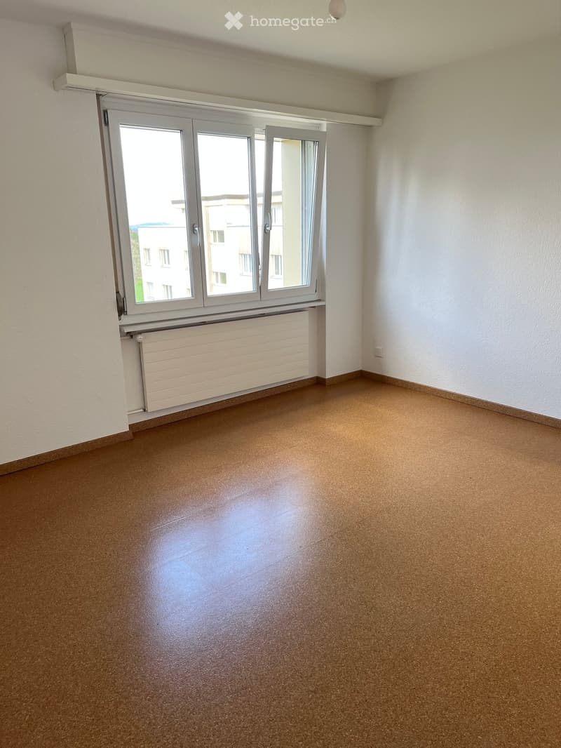 Empty room with light-colored walls, brown carpeted floor, large window with white frame, radiator below the window, and a visible electrical outlet on the wall.