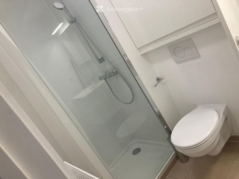 Modern bathroom with a glass-enclosed shower and a toilet. The shower features a handheld showerhead and a fixed overhead sprayer. The walls are tiled in white, and the floor is tiled in beige.