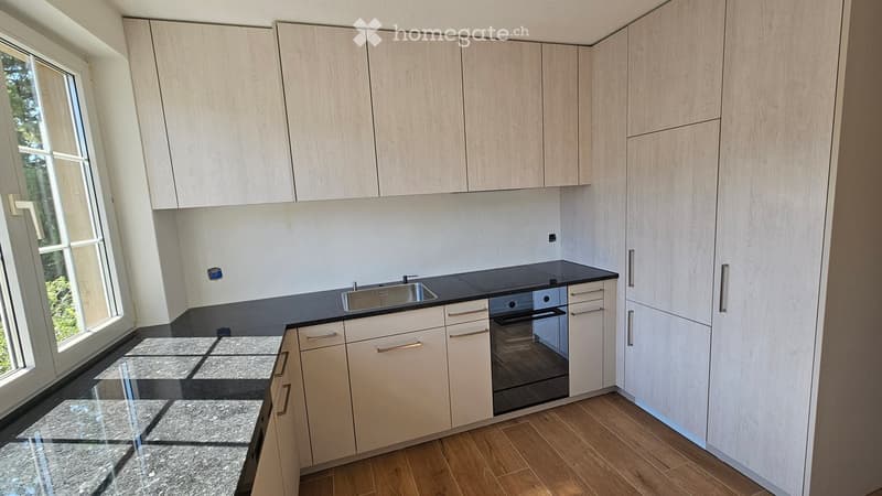 Modern kitchen with light wood cabinets, stainless steel sink, and built-in oven. Features a large window and wooden flooring.