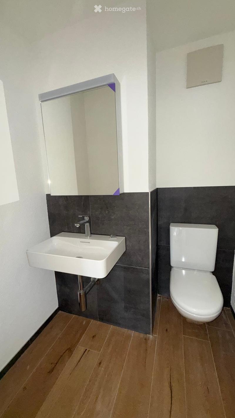 Modern bathroom with a white sink, chrome faucet, white toilet, and a mirrored cabinet above the sink. The walls are painted white with a dark grey lower half, and the floor is made of light wooden tiles.