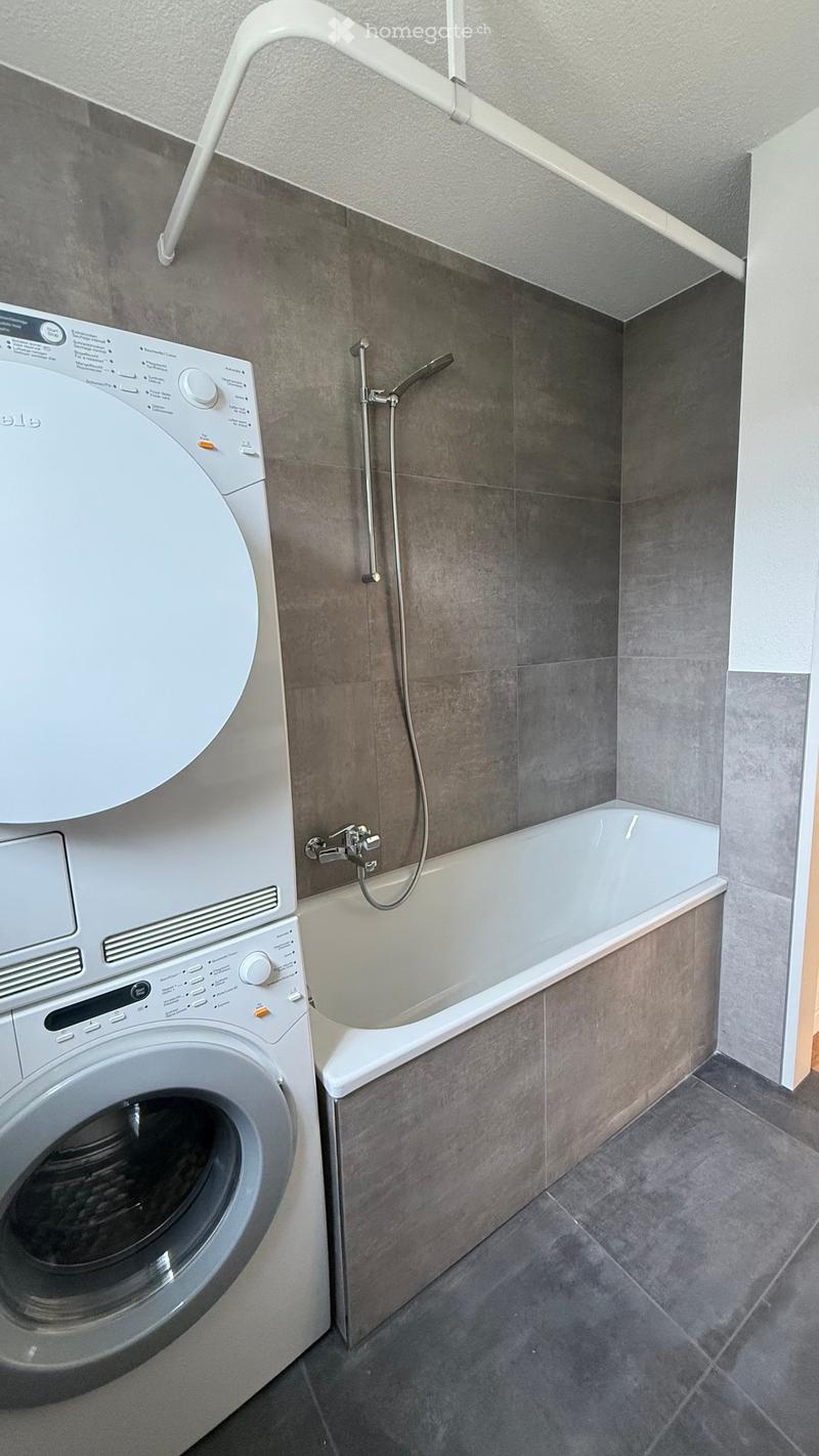 Modern bathroom with a bathtub, shower, and a washing machine. The walls are tiled in gray, and the floor is made of dark tiles.
