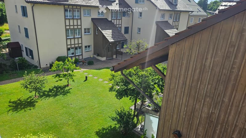 Well-maintained lawn with small trees and shrubs, surrounded by residential buildings with traditional architecture and tiled roofs.
