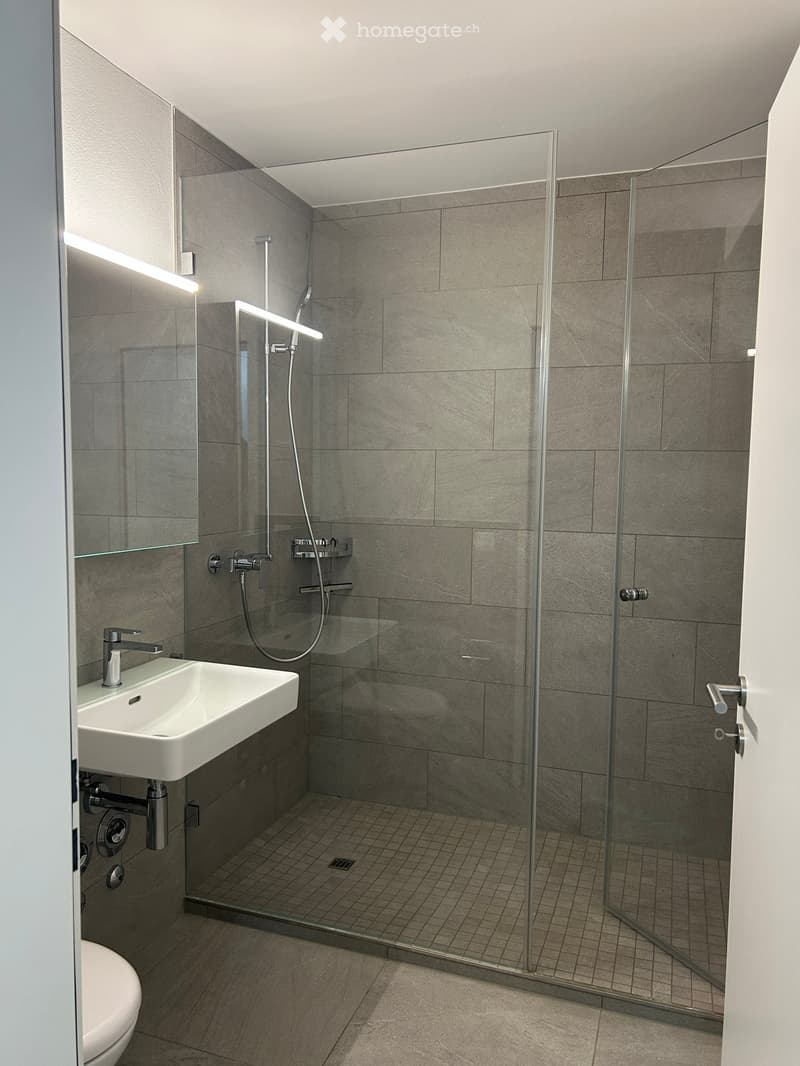Modern bathroom with a white sink, chrome faucet, glass-enclosed shower, and a toilet. The walls are tiled in gray, and the floor is tiled in light beige.
