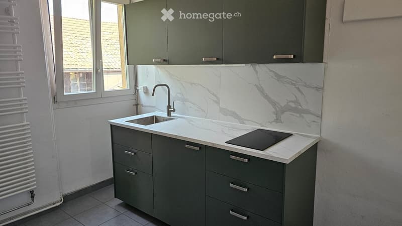 Modern kitchen with grey cabinets, marble countertop, sink, faucet, and induction cooktop. Features a window with a view of a roof.