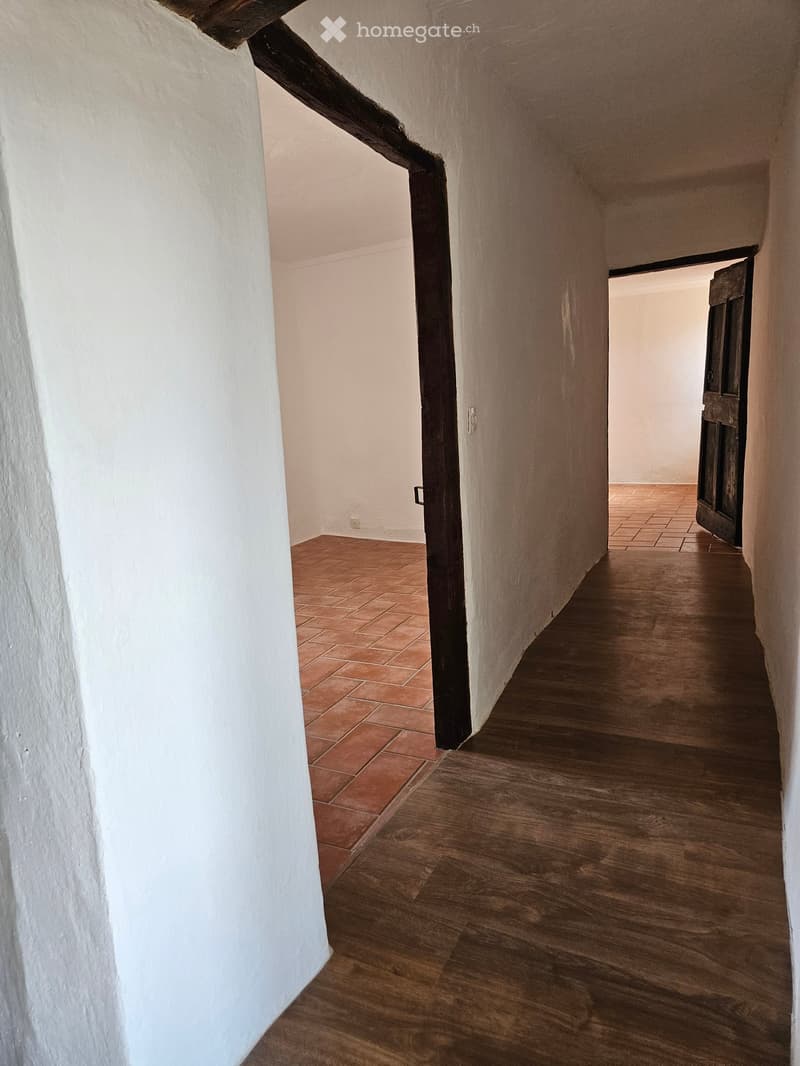 empty corridor, wooden floor, wooden beams on ceiling, terracotta tiles in floor