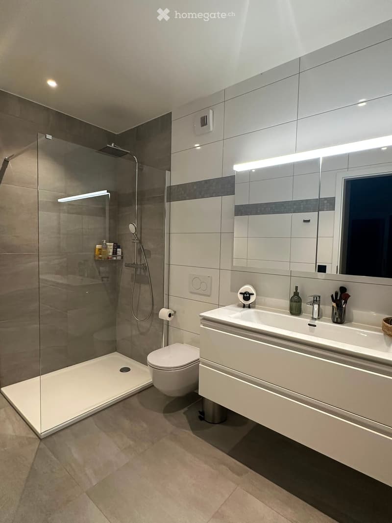 Modern bathroom with a glass-enclosed shower, toilet, double sink with mirror, and various toiletries.