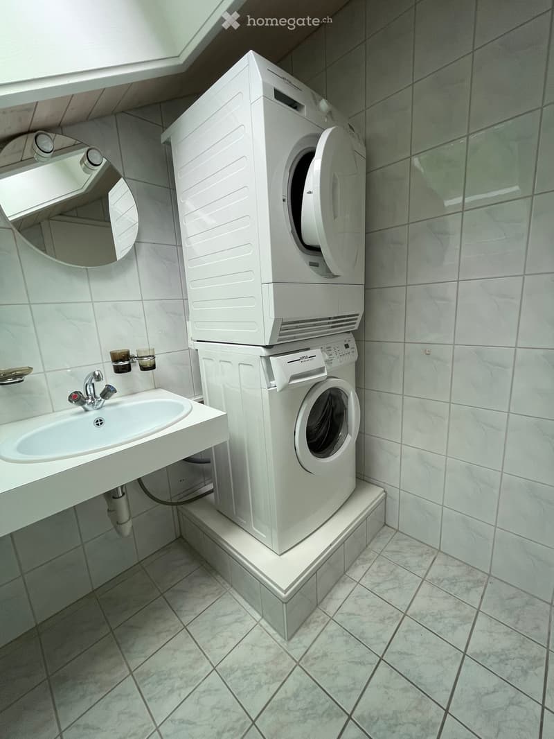 Helle 3.5 Zimmer-Dachwohnung in Bristen (4)