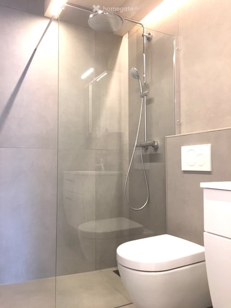 Modern bathroom with a glass-enclosed shower, a toilet, and built-in lighting above the shower area.