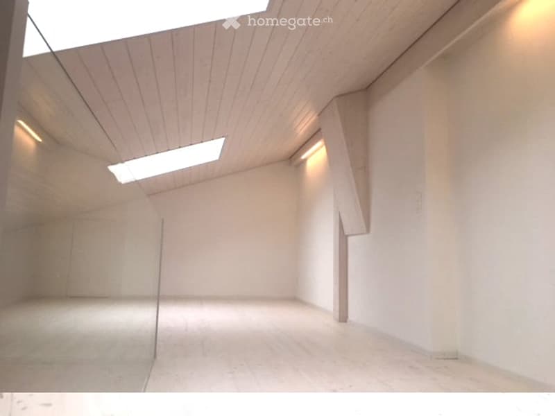 Completely empty room with white walls, a wooden floor, and a skylight. No furniture or equipment.