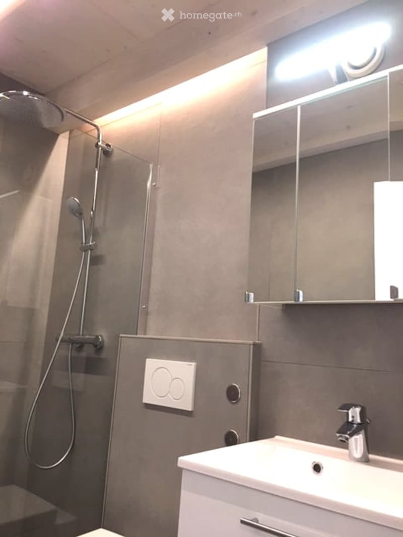 Modern bathroom with a glass-enclosed shower, sleek sink, and illuminated mirror.