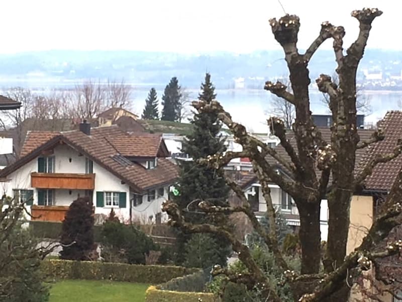 Scenic view of a residential area with houses, trees, and a distant lake.