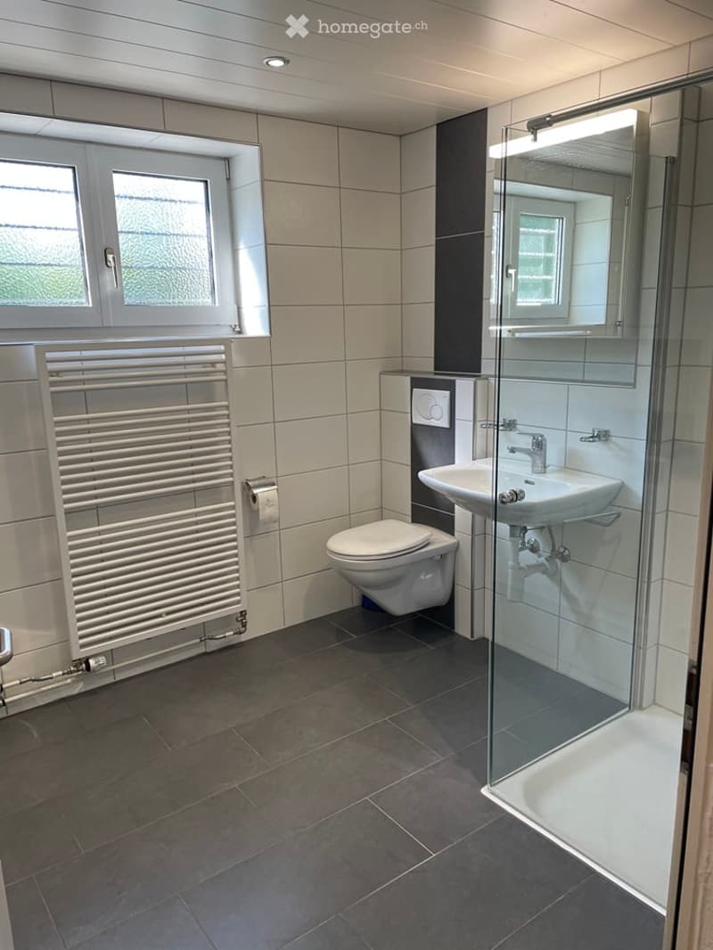 Modern bathroom with white tiles, dark floor, toilet, sink, mirror, radiator, and glass-enclosed shower.