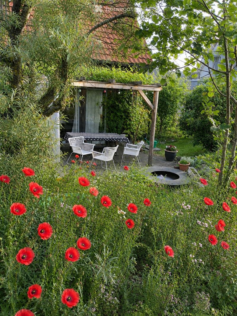 A lush garden with red poppies, a wooden pergola, white chairs, and a table, surrounded by greenery and trees.