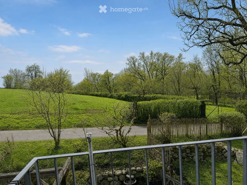 A peaceful garden area with a stone wall, metal railing, and a wooden fence, surrounded by lush green grass and trees.