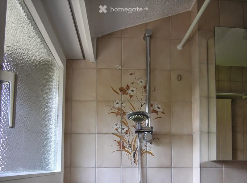 Shower area with beige tiles, floral design, modern showerhead, and a mirror on the wall.