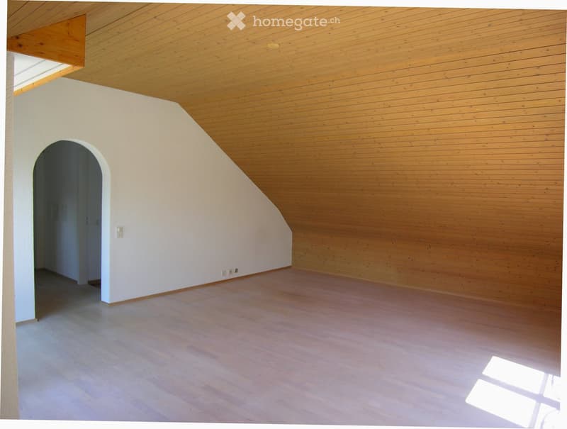 Empty room with wooden flooring, white walls, and a slanted wooden ceiling. An arched doorway leads to another space.