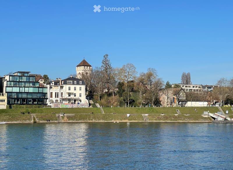 A scenic view of a river with a mix of modern and traditional buildings on the opposite bank, including a prominent tower and a glass-walled structure, surrounded by trees and a grassy park area.