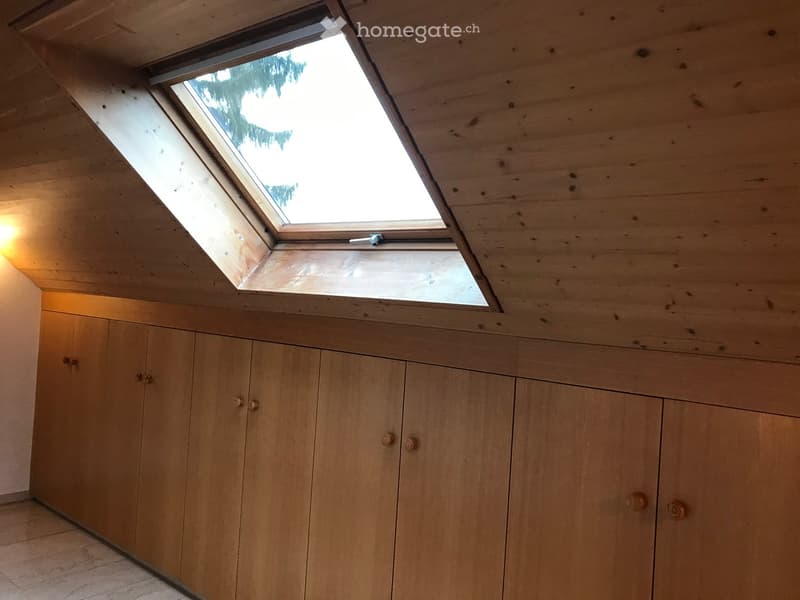 An attic space with wooden walls, a skylight window, and built-in wooden cabinets.