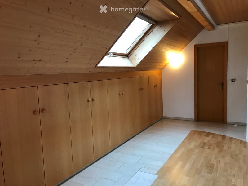 Empty attic space with wooden walls, a skylight window, built-in wooden cabinets, and a wooden door.