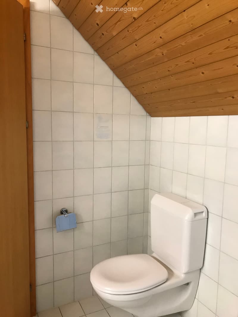 White toilet with a closed lid, mounted on a tiled wall with a wooden slanted ceiling. Toilet paper holder is visible on the left side.