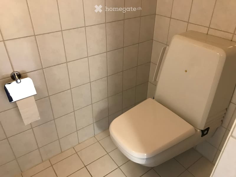 A modern bathroom with a toilet, tiled walls, and a toilet paper holder.