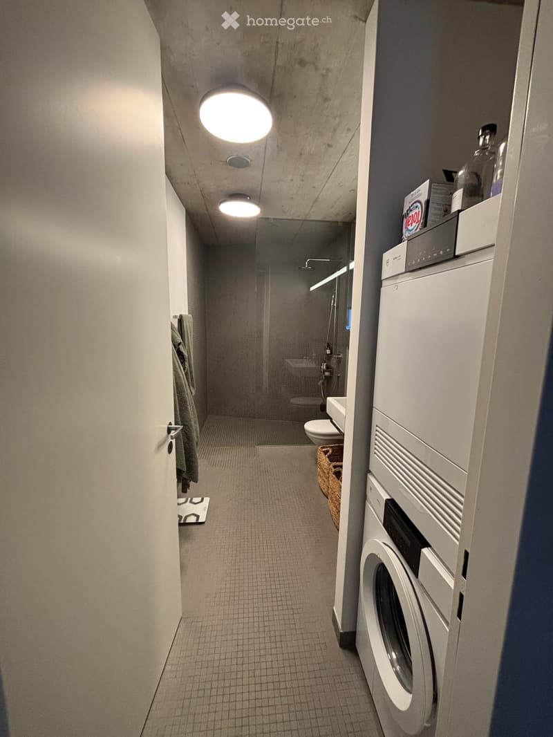Modern bathroom with a washing machine, toilet, shower, and sink. Includes a towel hanging on the wall and a small basket on the floor.