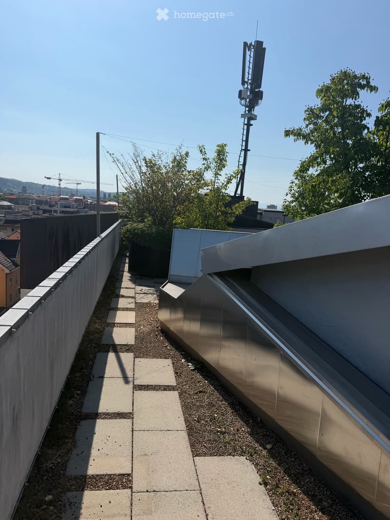 Grosszügige Neubauwohnung mitten in Zürich (2)