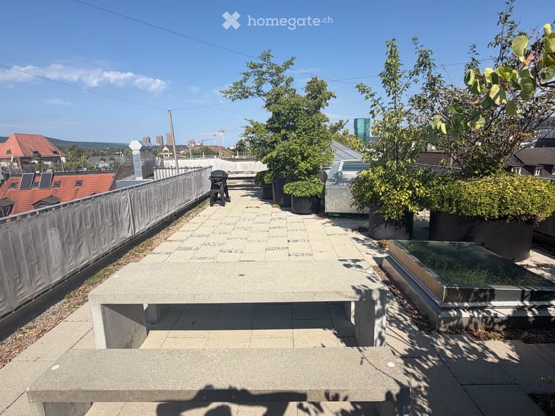 Grosszügige Neubauwohnung mitten in Zürich (3)
