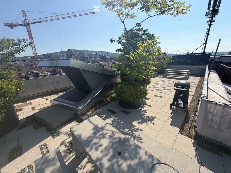 Grosszügige Neubauwohnung mitten in Zürich (5)