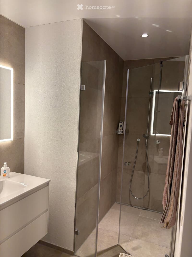 Modern bathroom with a glass-enclosed shower, a white sink with a bottle on the counter, and a towel hanging on the side.
