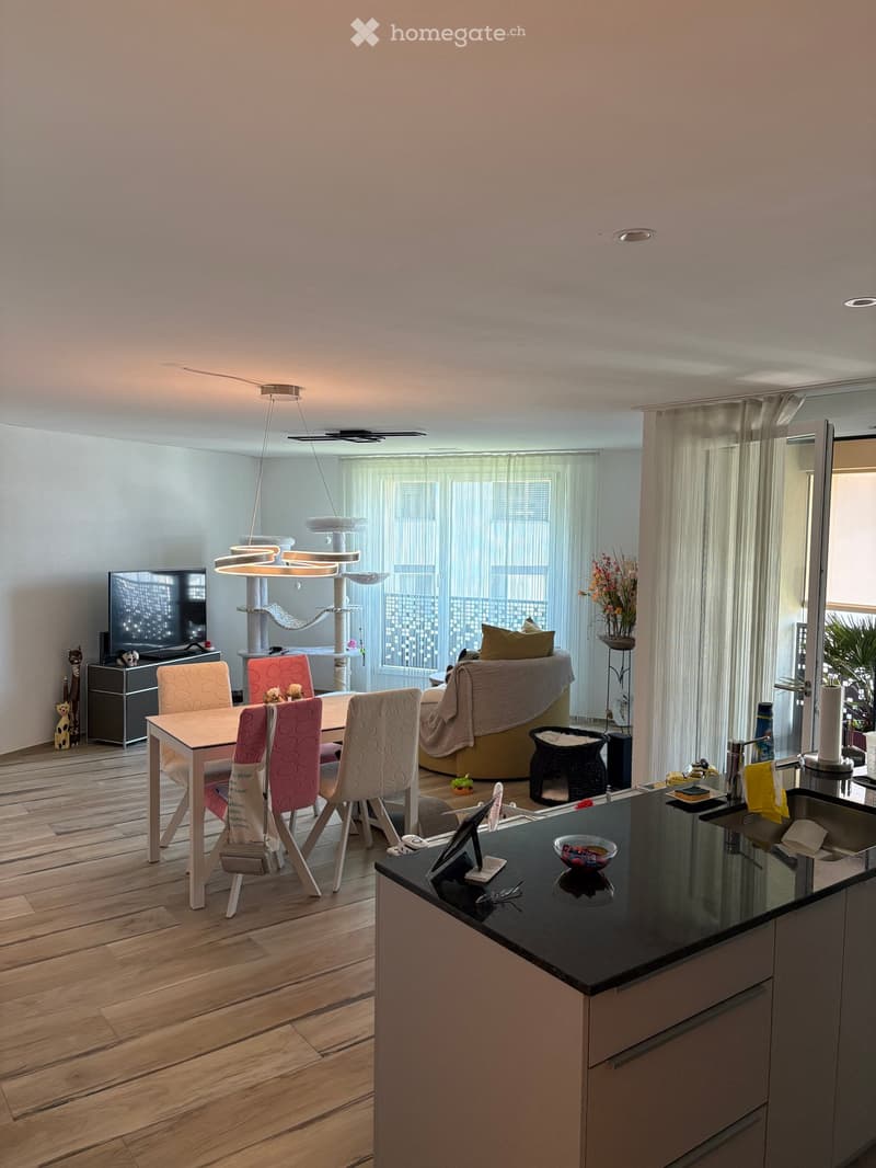 Open-plan living and dining area with a modern kitchen counter, a sofa, a dining table with chairs, a cat tree, and decorative items.
